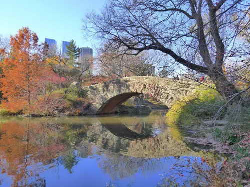 NYC_2012-11-22 13-19-37_P1070528